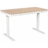 Стол компьютерный 2E CE218D-MOTORIZED, регулировка высоты, электропривод 220В, (USB-A/USB-C), 72/120